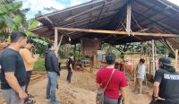 Petugas Polres Kubu Raya memeriksa lokasi sawmill di Desa Pancaroba untuk menelusuri legalitas usaha pengolahan kayu.