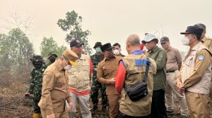Sujiwo dan Ria Norsan meninjau karhutla di Kubu Raya