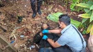 Petugas melakukan penyelidikan atas penemuan pria meninggal dunia di tempat usaha mebel di Parit Baru, Kubu Raya.